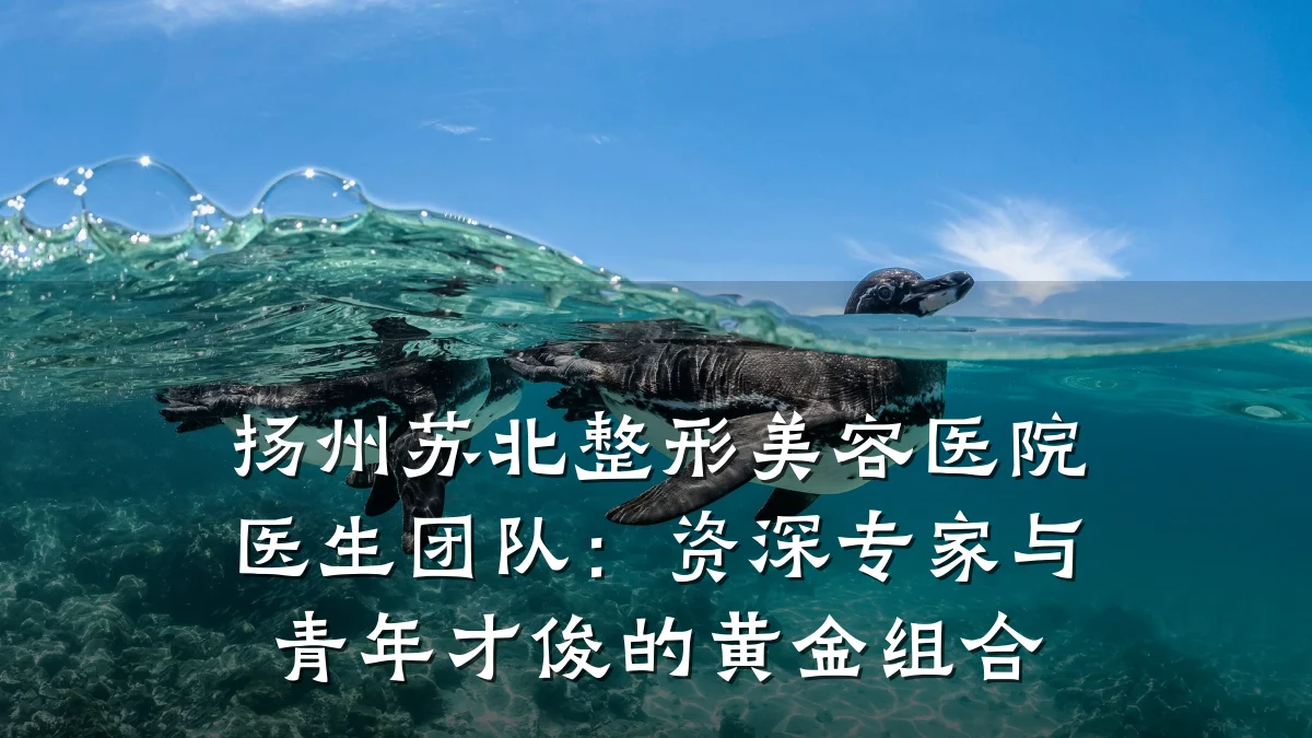 扬州苏北整形美容医院医生团队:资深专家与青年才俊的黄金组合