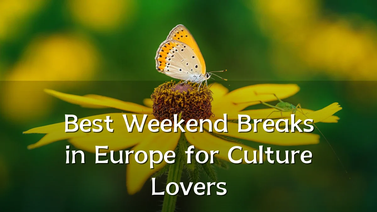Best Weekend Breaks in Europe for Culture Lovers