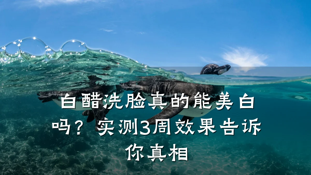 白醋洗脸真的能美白吗？实测3周效果告诉你真相