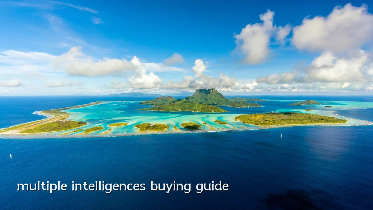 multiple intelligences buying guide