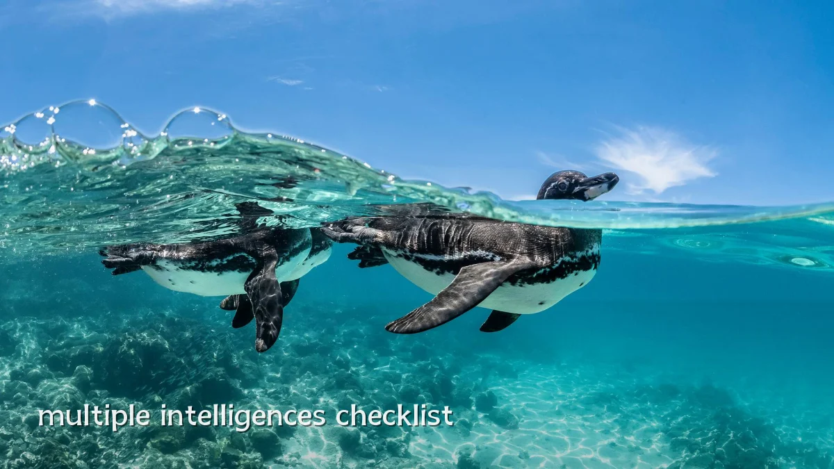 multiple intelligences checklist