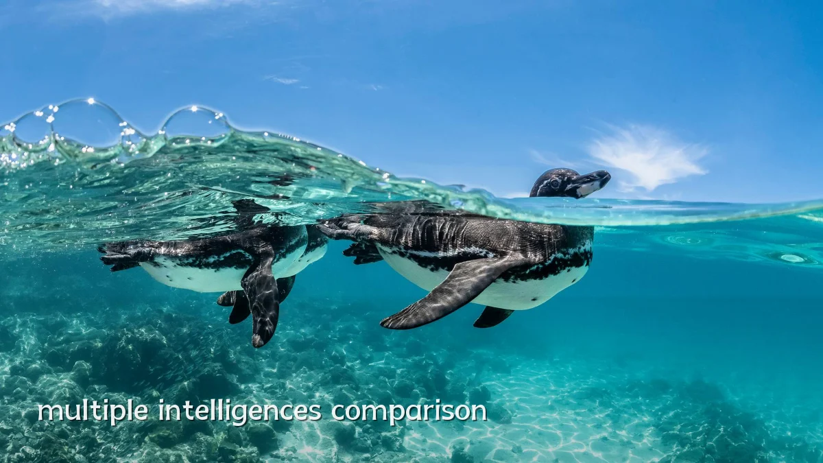 multiple intelligences comparison