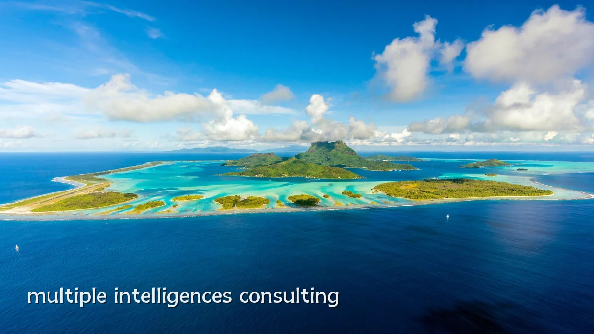 multiple intelligences consulting