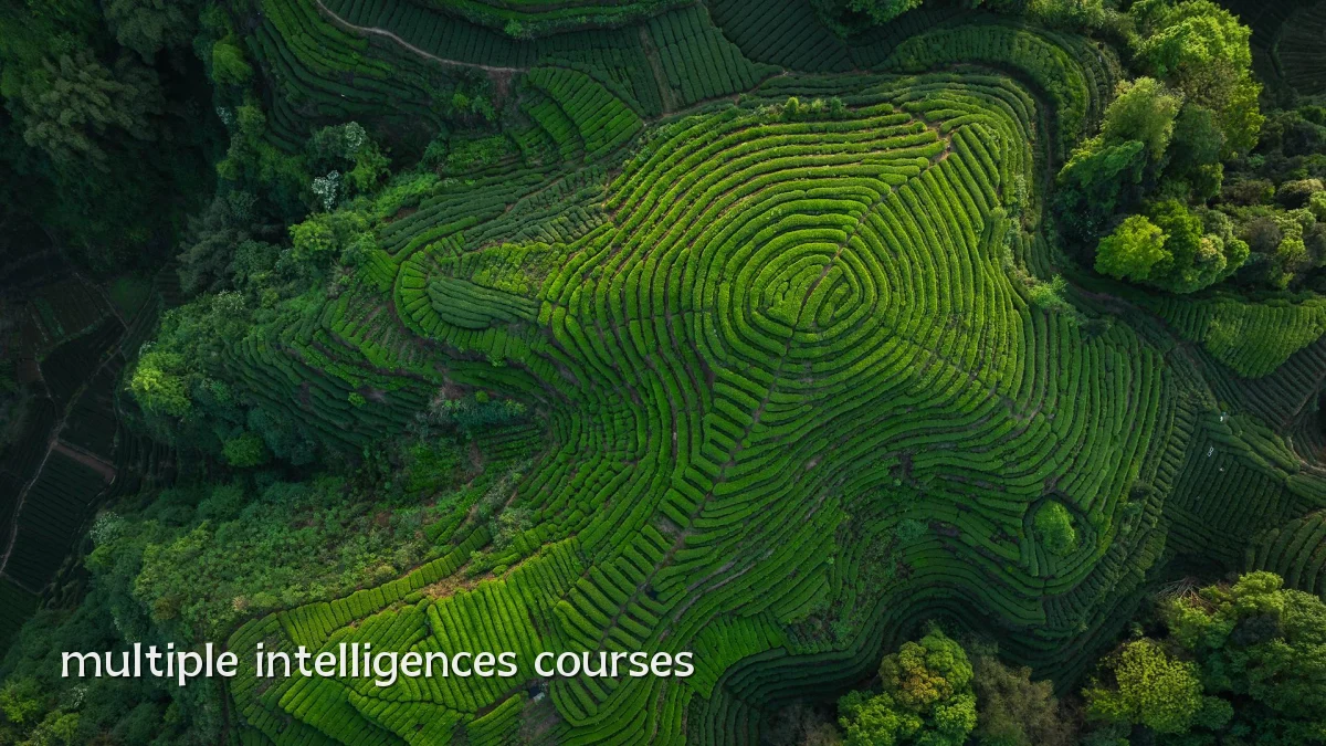 multiple intelligences courses
