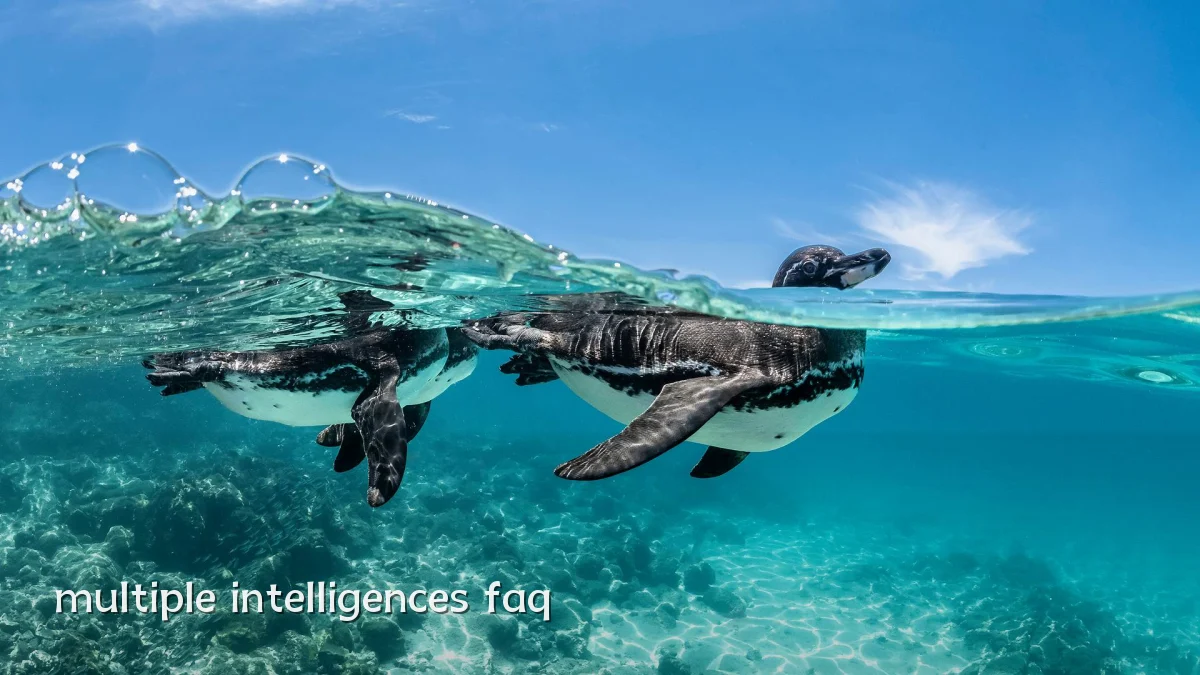 multiple intelligences faq
