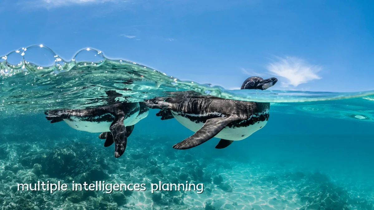 multiple intelligences planning