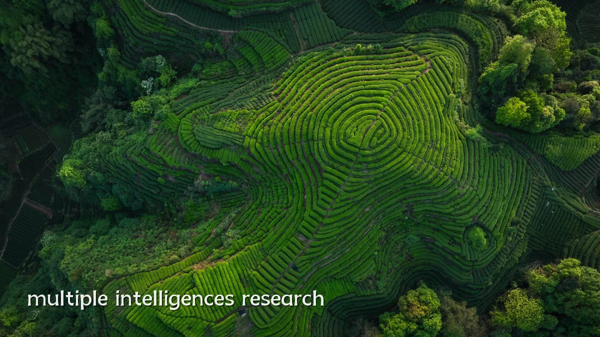 multiple intelligences research
