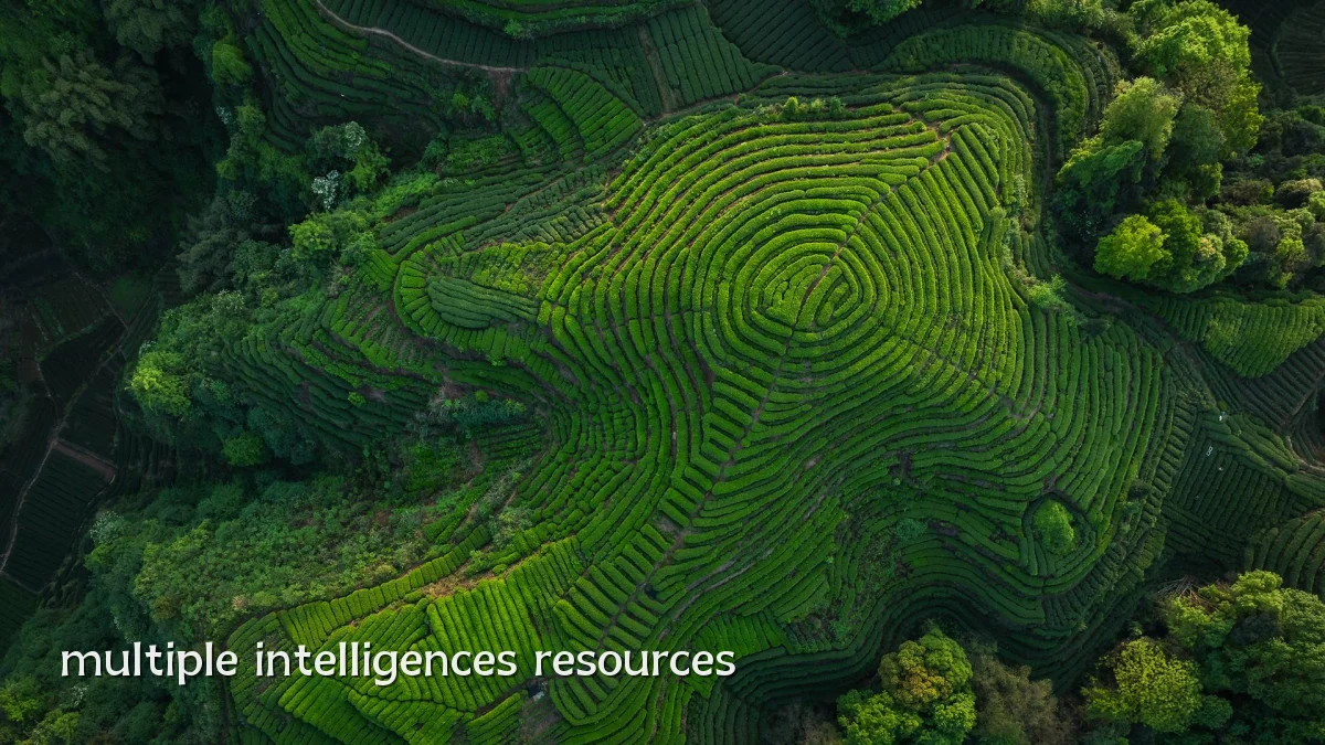 multiple intelligences resources