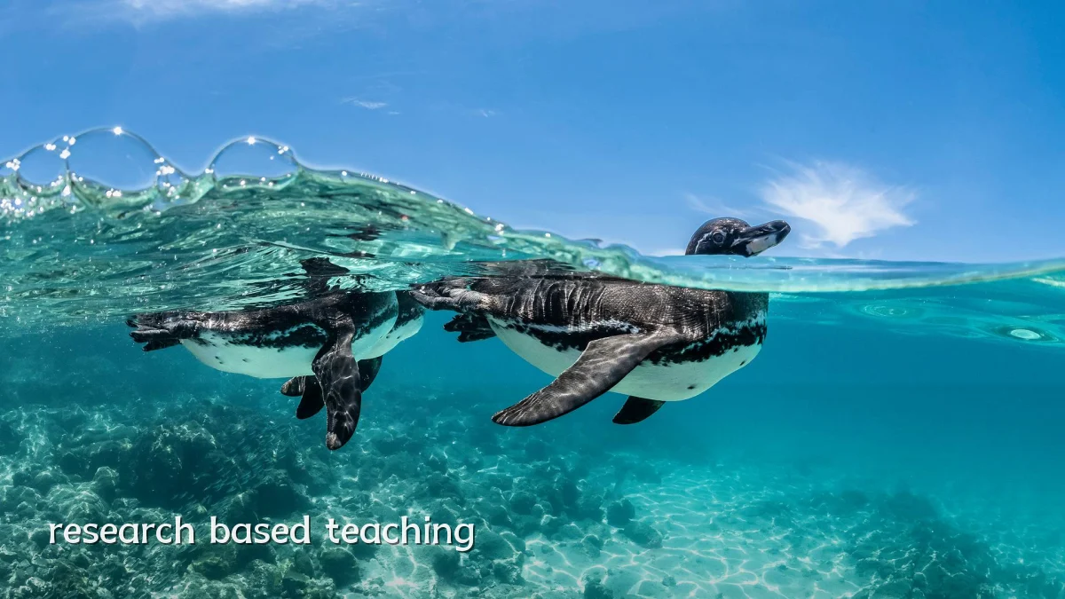 research based teaching