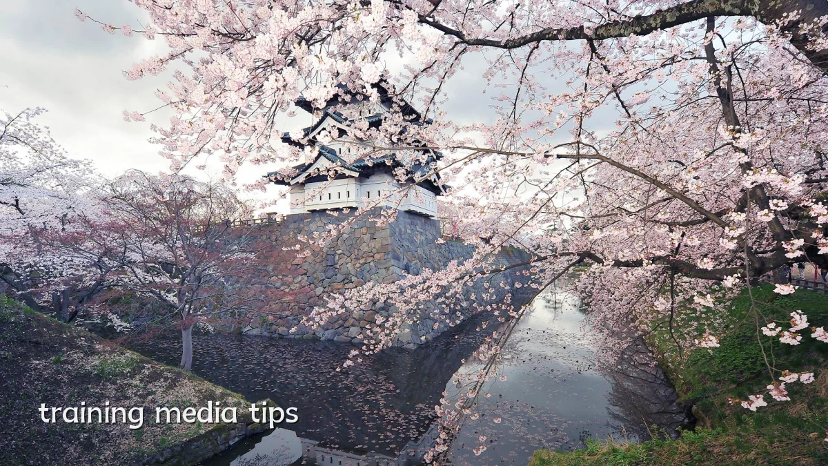 training media tips