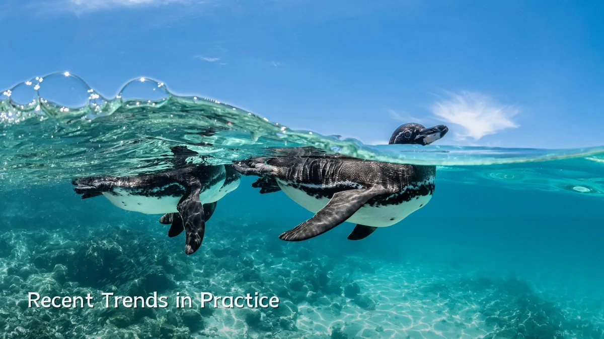 Recent Trends in Practice