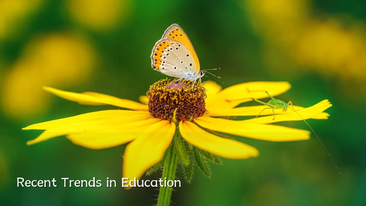 Recent Trends in Education