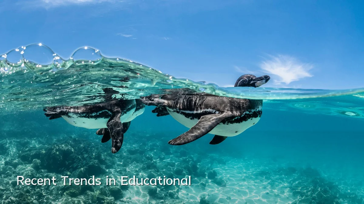 Recent Trends in Educational