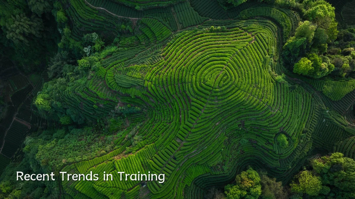 Recent Trends in Training