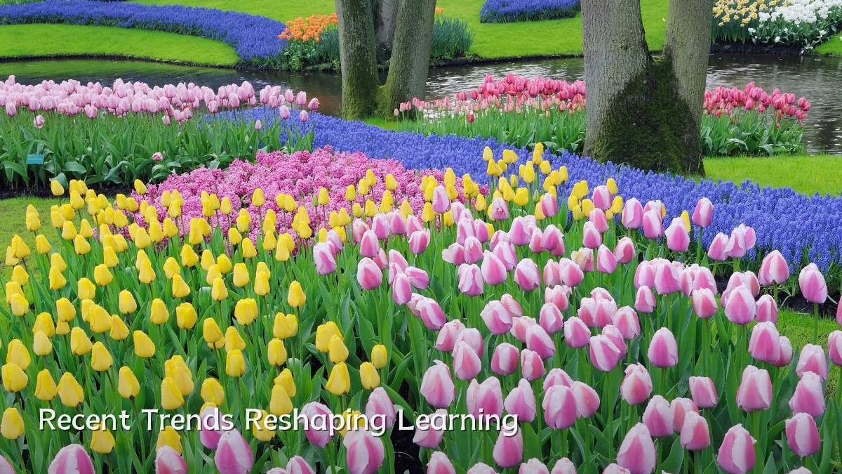 Recent Trends Reshaping Learning