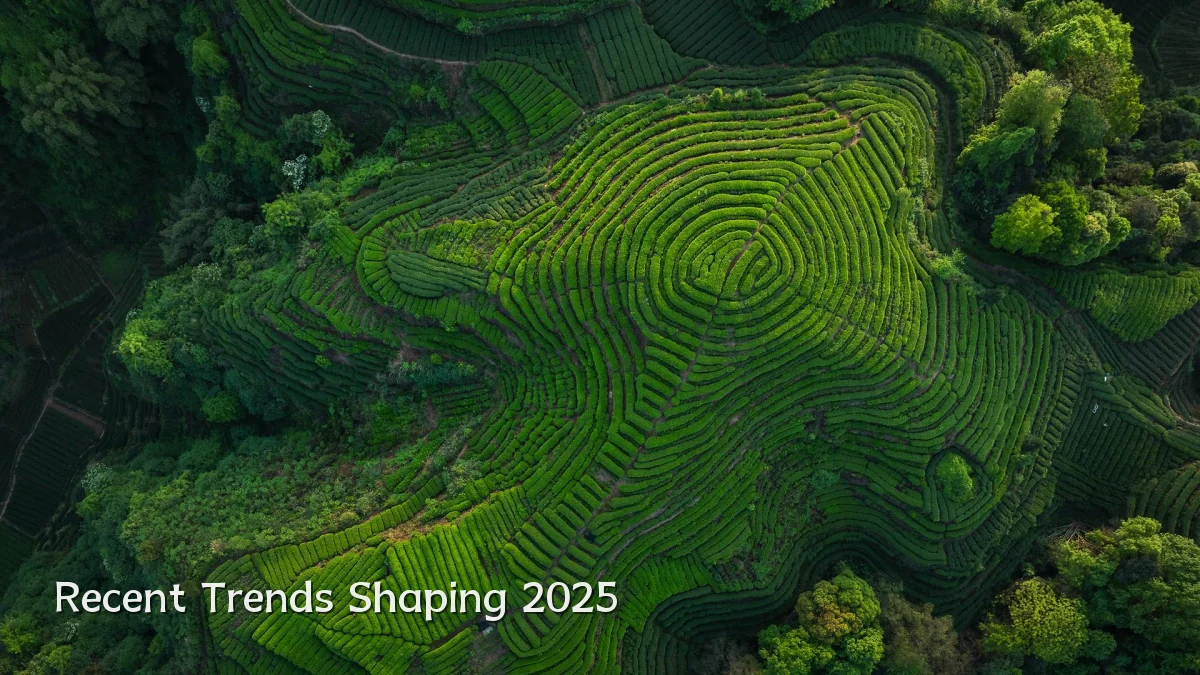 Recent Trends Shaping 2025